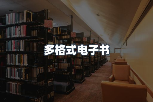 多格式电子书